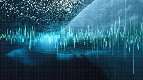 Ocean Quack Sound Mystery In Antarctic Ocean Solved By Scientists Video