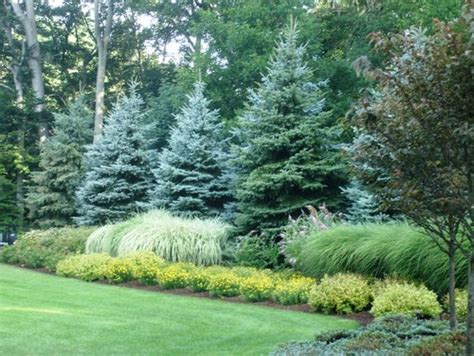 Wonderful Evergreen Grasses Landscaping Ideas 107 Large Yard