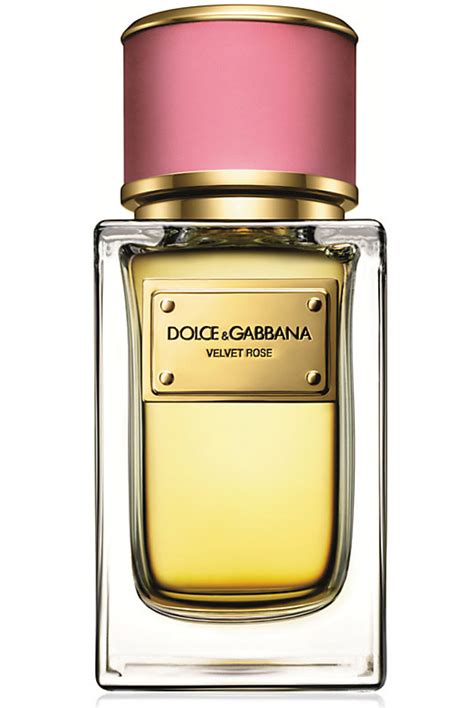 Velvet Rose Dolceandgabbana Perfume A Novo Fragrância Feminino 2014