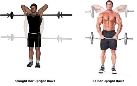 Barbell Upright Row Bodybuilding Wizard Barbell The Row Back