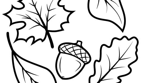 coloring leaves pages