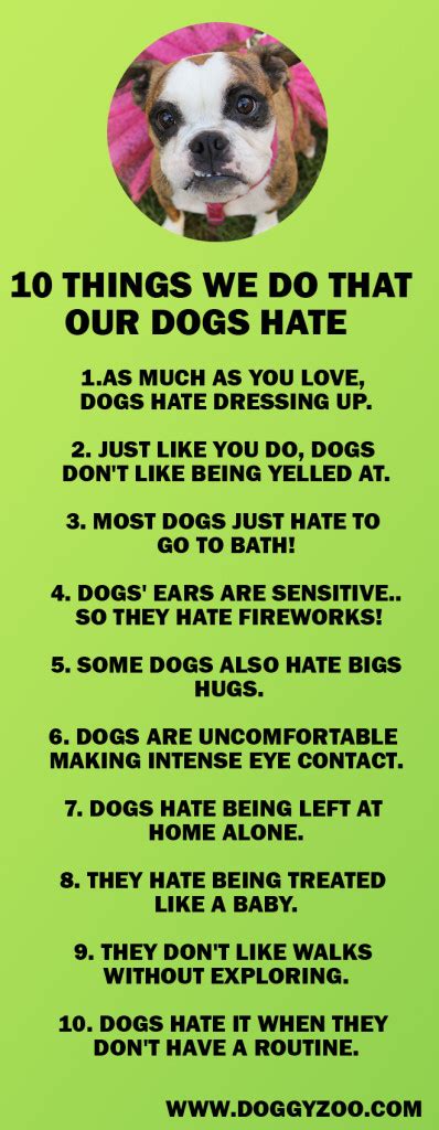 10 Things We Do That Our Dogs Hate