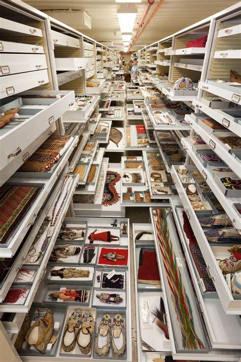 Take A Closer Look At All The Specimen Collections Inside The Museum Of
