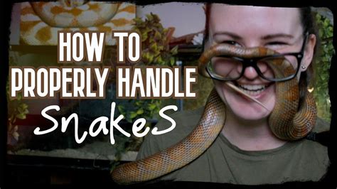 How To Properly Handle Snakes Youtube