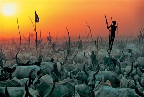 Extraordinary Photos The Essence Of The Dinka Tribe In Sudan Africa Nature Pictures