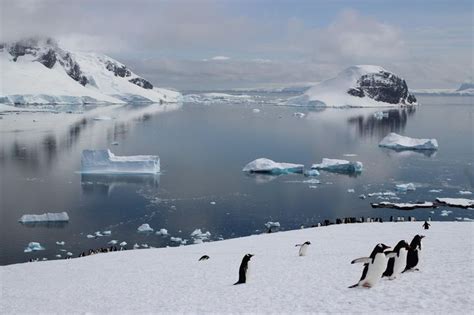 Antarctica Holidays 2024 And 2025 Tailor Made From Audley Travel Uk