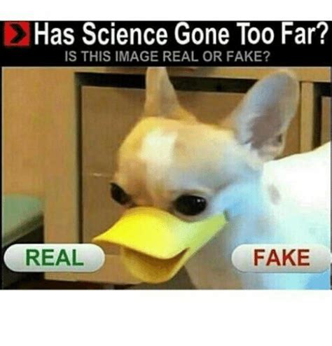 Has Science Gone Too Far Is This Image Real Or Fake Real Fake Fake Meme On Me Me