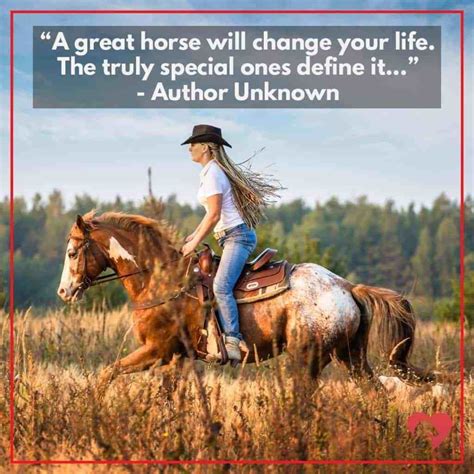 15 Greatest Horse Quotes Of All Time Horse Love Quotes Inspirational
