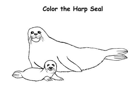 Seal coloring pages new hampshire state seal coloring pages unique new hampshire state. coloring pictures of harp seals - Yahoo Image Search ...