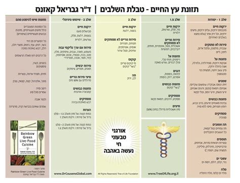 Phases Chart Tree Of Life Israel Dr Gabriel Cousens מועדון המטפלים