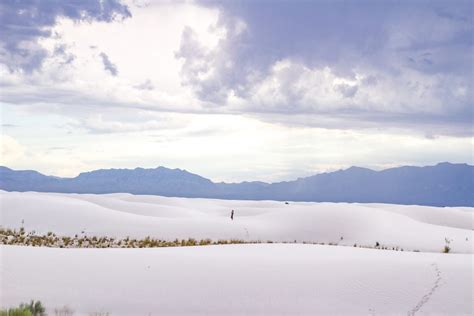 The Ultimate List Of Fun Things To Do In White Sands New Mexico