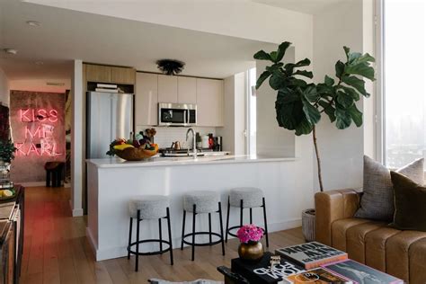 Small Kitchen Living Room Combo Ideas Baci Living Room