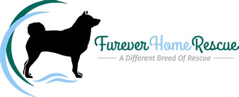Furever Home Rescue, IncPet Shelter in Sarasota FL