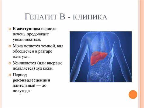 Вирусные гепатиты стол диета Вирусные гепатиты - online presentation Вирусные гепатиты - online presentation Вирусные гепатиты стол диета