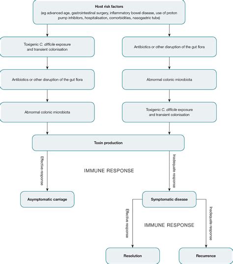 Clostridium Difficile Infection Nejm 49 Off