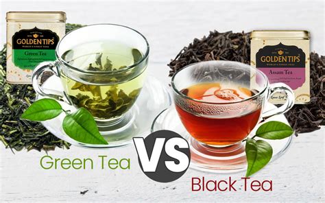 Black Tea Vs Green Tea Golden Tips