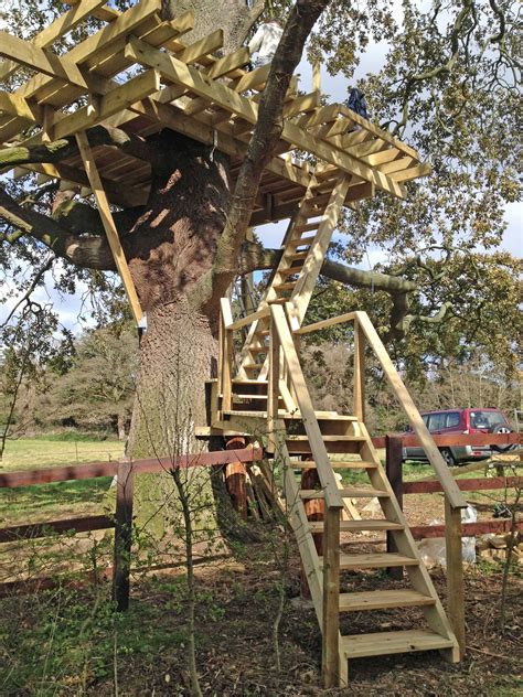 Treehouse Stairs Tree House Diy Tree House Designs Outdoor Spaces