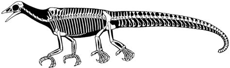 When the realize that the dinosaurs are bred as smart as humans. The Triassic Period - Darwin's Door
