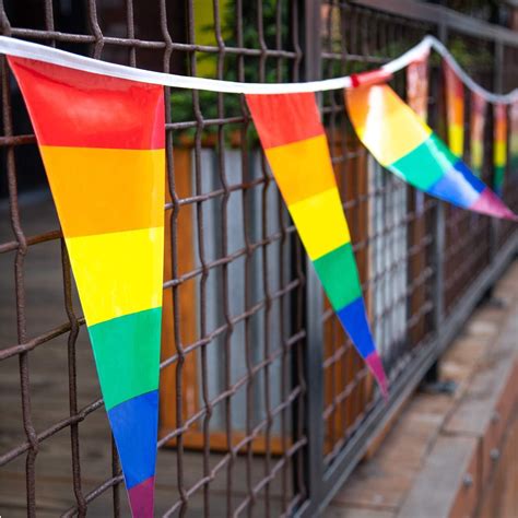 36m Triangle Rainbow Pride Bunting Flag Williamklein