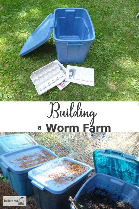 Building A Worm Farm Simple Tutorial For Starting A Red Worm Bin