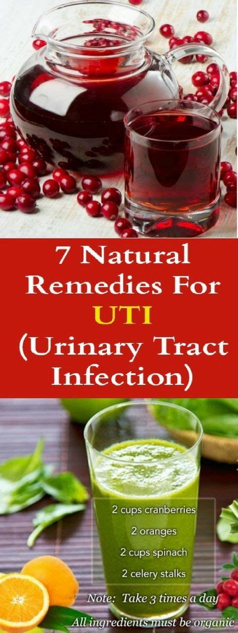 7 Natural Remedies For Urinary Tract Infection Bacteria