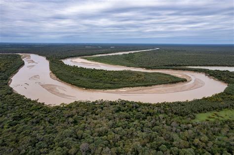 Gran Chaco Argentina Risks Losing Its Largest Native Forest Dialogo