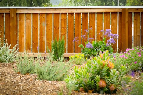 Back Yard Bliss Transitional Landscape Los Angeles By Sweet Smiling Landscapes Houzz