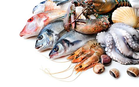 Seafood Wallpapers Top Free Seafood Backgrounds Wallpaperaccess