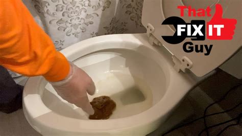 Cat Poop Flushing Down Toilet Deals Online Save 55 Nacbr