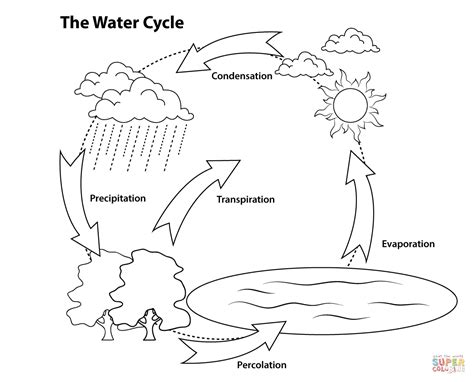 Coloring Page Water Cycle Coloring Home