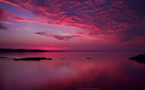 Amazing Pink Sunset Wallpaper 1280x800 15312