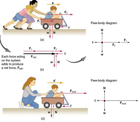 Newtons Second Law Of Motion Concept Of A System College