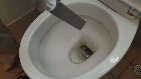 Using A Pumice Stone To Remove Stubborn Toilet Bowl Stains Youtube