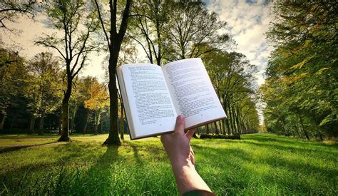Book Hand Reading Free Photo On Pixabay Pixabay