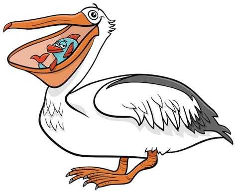 Premium Vector Cartoon Illustration Of Funny Pelican Bird Animal