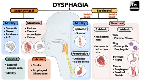 Dx Schema Dysphagia The Clinical Problem Solvers