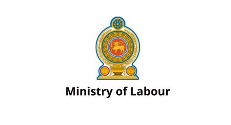Labor Ministry Archives Sri Lanka News Newsfirst