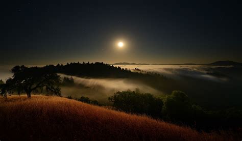 1075962 Sunlight Trees Landscape Night Nature Reflection Sky