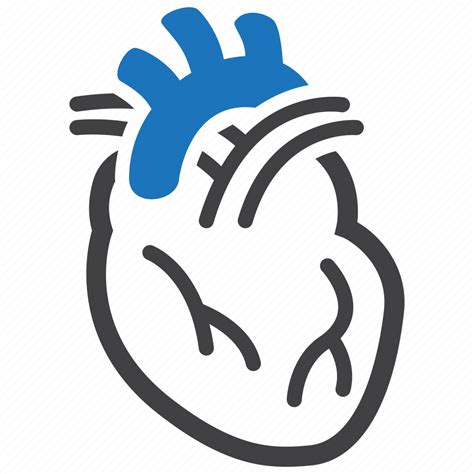 Cardiology Cardiovascular Human Heart Icon Download On Iconfinder