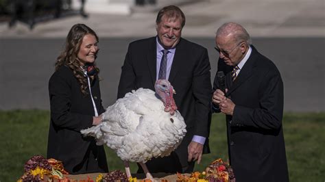 what happens to the turkeys after being pardoned by the president