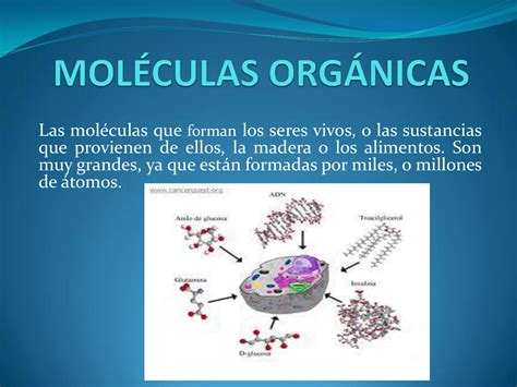 Moléculas Orgánicas