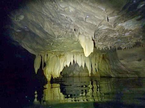Seamorr The Really Creepy Cave