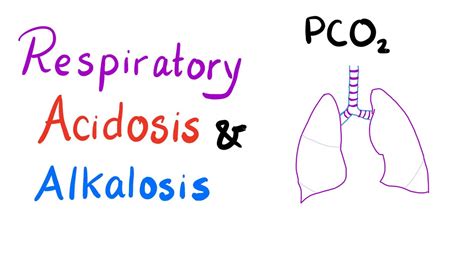 respiratory acidosis and alkalosis lung physiology pulmonary medicine สรุปข้อมูลที่สมบูรณ์