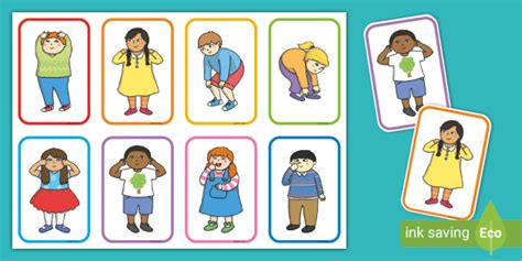 Head Shoulders Knees And Toes Flashcards Teacher Made