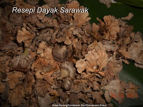 Simak penjelasan lengkap mengenai berbagai khasiat kunyit, mulai dari penyakit ringan sampai berat. Resepi Cendawan Kukur Goreng Kunyit - CRV Turbin
