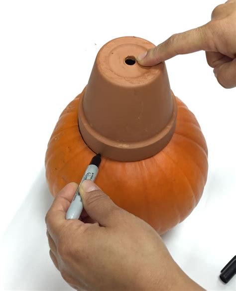 DIY Project Succulent Pumpkin Colorfully BEHR Succulent Pumpkin