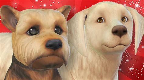 The Sims 4 Cats And Dogs Overview Create A Pet Create A Sim Youtube