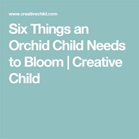 Six Things An Orchid Child Needs To Bloom Children Positive