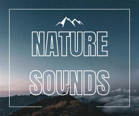 12 Relaxing Nature Sounds Meditation App Mindtastik