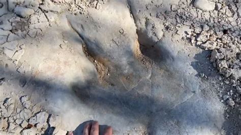 عمرها 113 مليون سنة ظهور آثار ديناصورات بسبب الجفاف الاستثنائي في تكساس Cnn Arabic